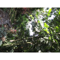 Photo Panama Bastimentos 2015-03 13