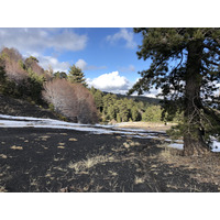 Photo Italie Sicile L'Etna 2020-02 52
