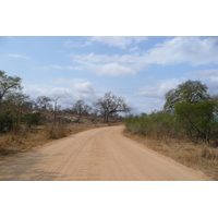 Photo Afrique du Sud Parc National Kruger route de la rivière Crocodile 2008-09 57