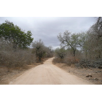 Photo Afrique du Sud Parc National Kruger Rivière Sable 2008-09 14