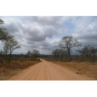 Photo Afrique du Sud Parc National Kruger route de la rivière Crocodile 2008-09 7