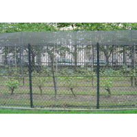 Photo France Paris Jardin du Luxembourg 2007-04 31