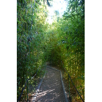 Photo France Nice Parc Phoenix 2007-10 55