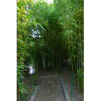 Photo France Nice Parc Phoenix 2007-10 41