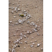 Photo France Cannes Plage 2008-04 26