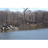 Photo États-Unis New York Central Park 2006-03 21