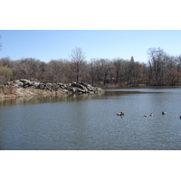 Photo États-Unis New York Central Park 2006-03 54