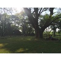 Photo Thaïlande Parc Si satchanalai 2014-12 21