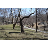 Photo États-Unis New York Central Park 2006-03 16