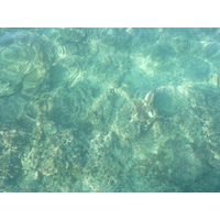 Photo Îles Fidji île Amunuca Island à île du film Seul au monde 2010-05 44