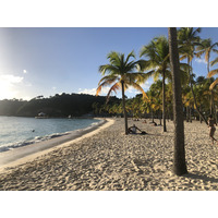 Photo Guadeloupe Plage de la Caravelle 2021-02 92