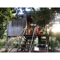 Photo Guadeloupe Sainte Anne 2021-02 122