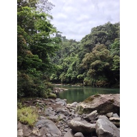 Photo Costa Rica Rivière Pacuare 2015-03 252