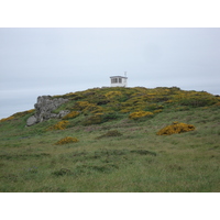 Photo Royaume-Uni Pembrokeshire Martins Havens 2006-05 7