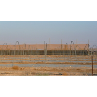 Photo Israel Mer Morte 2007-06 137