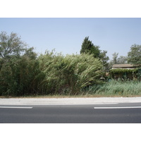 Photo France Camargue 2006-06 3