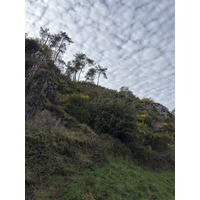 Photo France Rochefort en Terre 2026-04 60