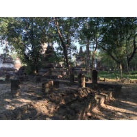 Photo Thaïlande Parc Si satchanalai 2014-12 139