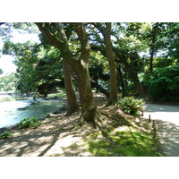 Photo Japon Tokyo Jardins Hama rikyu 2010-06 87