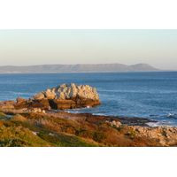 Photo Afrique du Sud Harmanus 2008-09 31