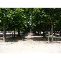 Photo France Paris Jardin des Tuileries 2007-05 336