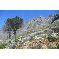 Photo Afrique du Sud Le Cap Montagne de la table 2008-09 21
