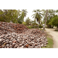 Photo Seychelles La Digue 2011-10 182