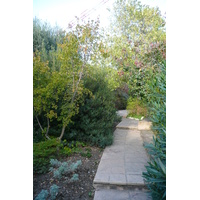 Photo France Nice Parc Phoenix 2007-10 59