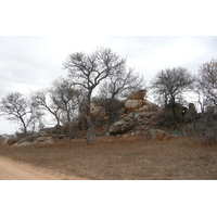 Photo Afrique du Sud Parc National Kruger 2008-09 40