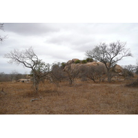 Photo Afrique du Sud Parc National Kruger 2008-09 24