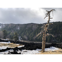 Photo Italie Sicile L'Etna 2020-02 28