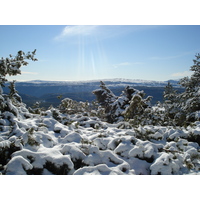 Photo France Route de Coursegoule à Gréolières les neiges 2007-01 57