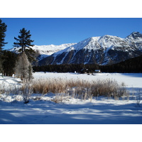 Photo Suisse Saint Moritz Schlarigna 2007-01 80