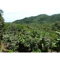 Photo Seychelles Vallée de Mai 2011-10 81
