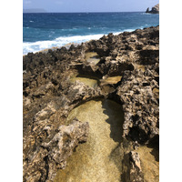 Photo Guadeloupe Pointe des Châteaux 2021-02 217