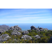 Photo Afrique du Sud Le Cap Montagne de la table 2008-09 6
