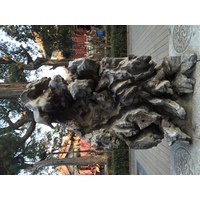 Photo Chine Pékin Cité Interdite 2015-12 149