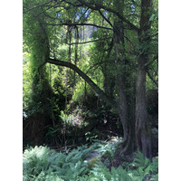 Photo France Corse 2021-05 40