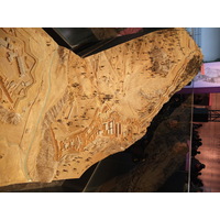 Photo France Paris Grand Palais 2012-01 27