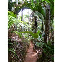 Photo Seychelles Vallée de Mai 2011-10 11