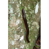 Photo Seychelles 2011-10 107