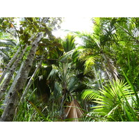 Photo Seychelles 2011-10 27