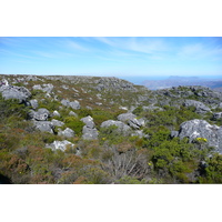 Photo Afrique du Sud Le Cap Montagne de la table 2008-09 39