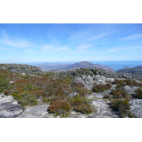 Photo Afrique du Sud Le Cap Montagne de la table 2008-09 27