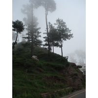 Photo Pakistan Murree 2006-08 145