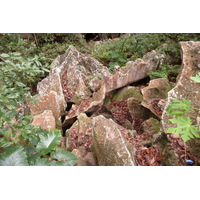 Photo Seychelles La Digue 2011-10 63