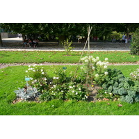Photo France Paris Jardin des Plantes 2007-08 125