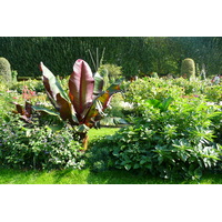 Photo France Paris Jardin des Plantes 2007-08 64