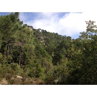 Photo France Corse Forêt de l'Ospedale 2012-09 15