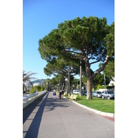 Photo France Cannes Port de Cannes 2008-05 41